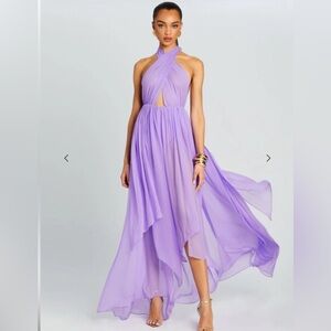 Retrofete INA SILK CHIFFON DRESS • medium • nwt • $695